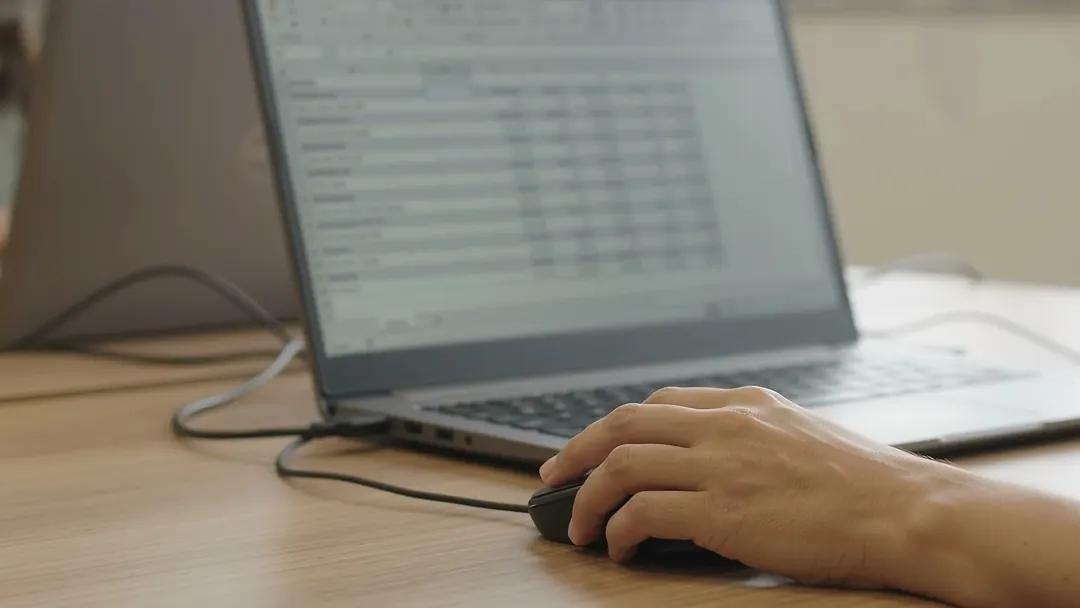 Pessoa trabalhando com uma planilha no computador